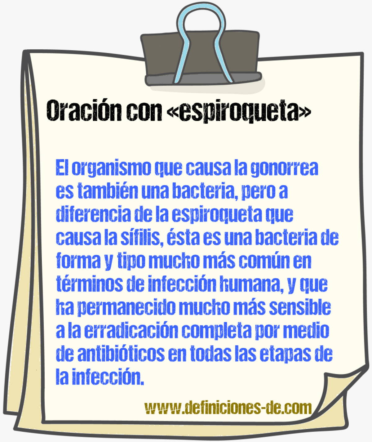 Ejemplos de oraciones con espiroqueta