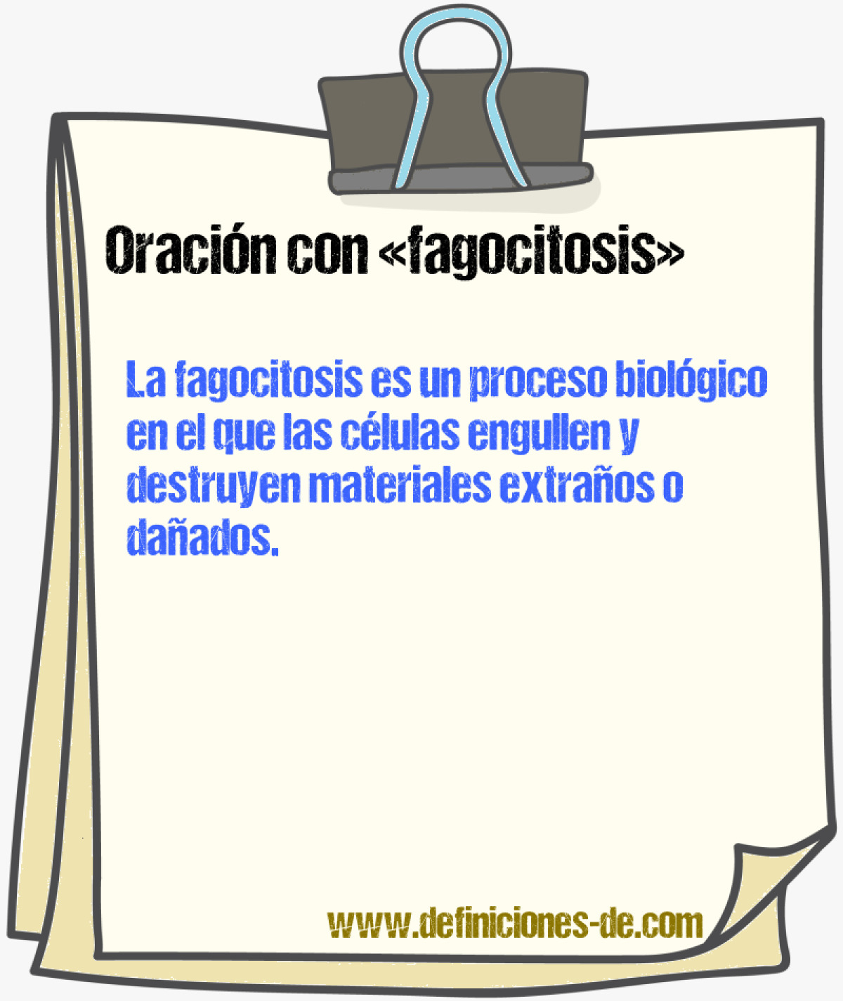 Ejemplos de oraciones con fagocitosis