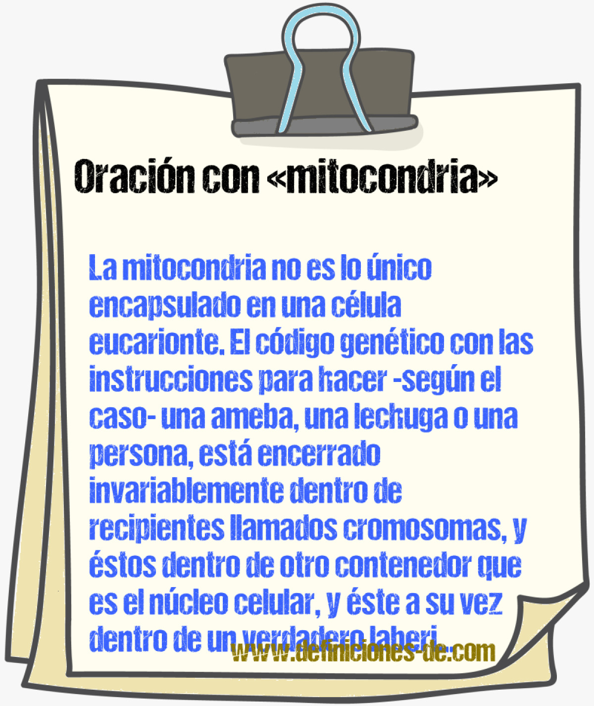 Ejemplos de oraciones con mitocondria