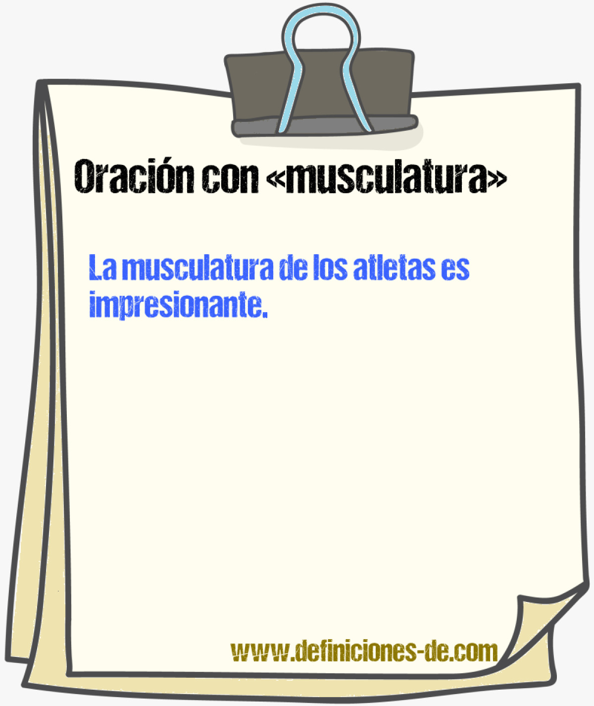 Ejemplos de oraciones con musculatura