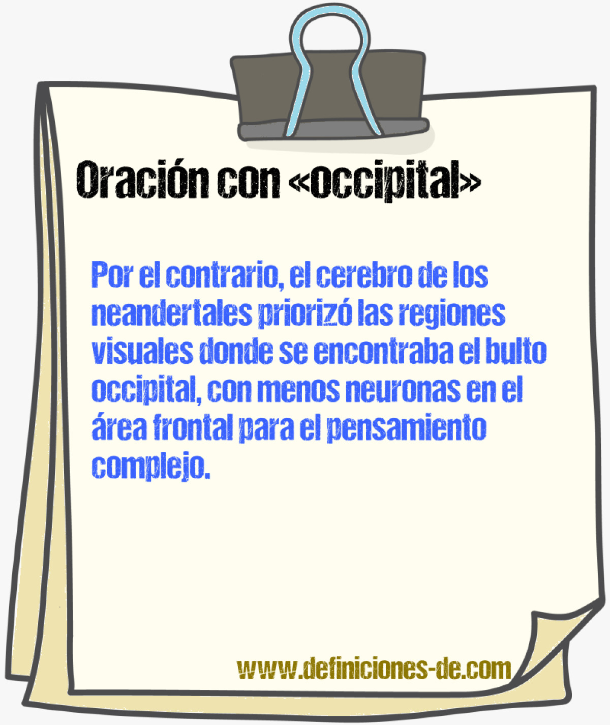 Ejemplos de oraciones con occipital