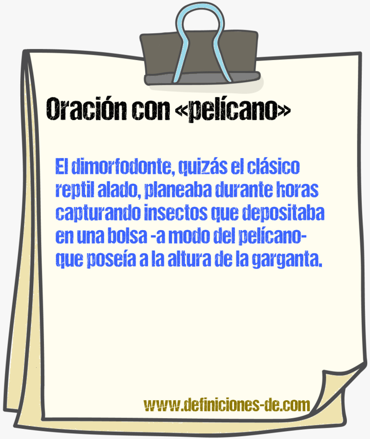 Ejemplos de oraciones con pelcano