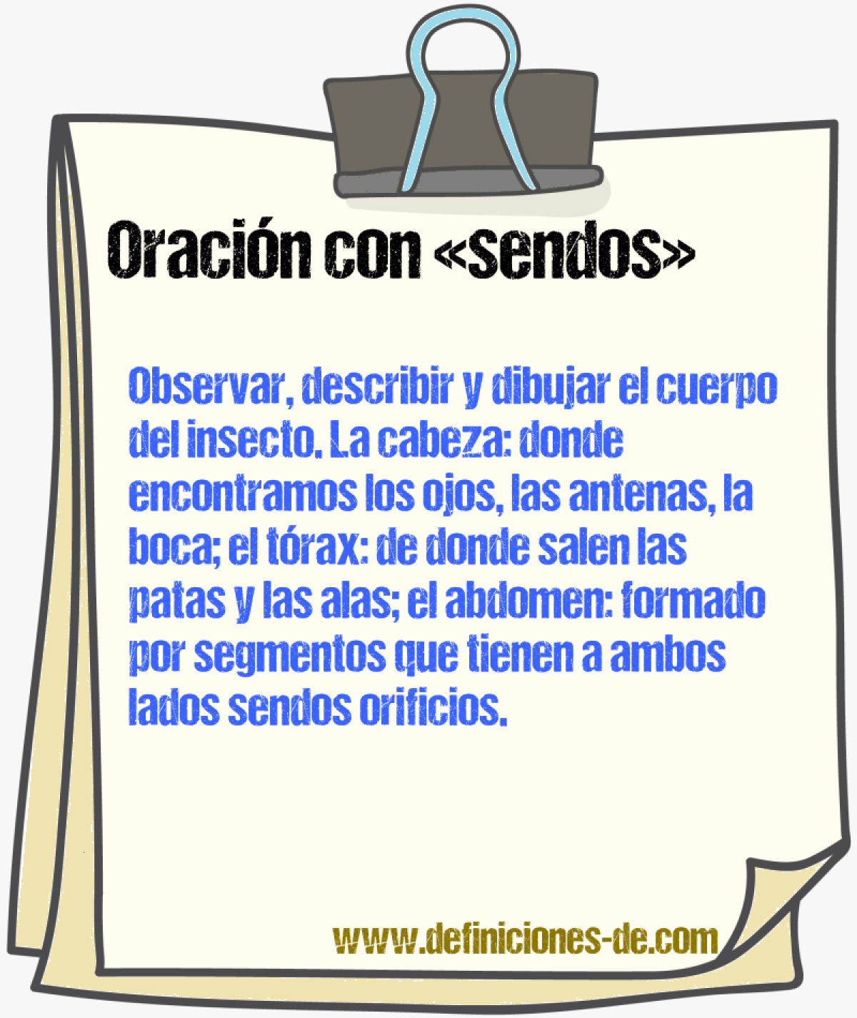 Ejemplos de oraciones con sendos