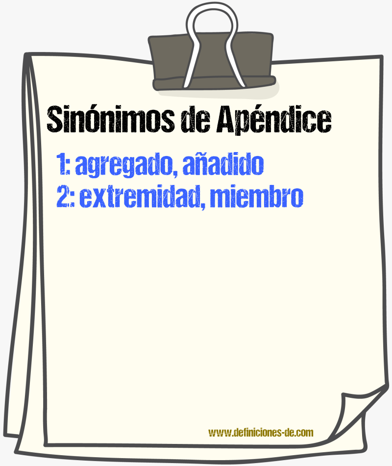 Sinnimos de apndice