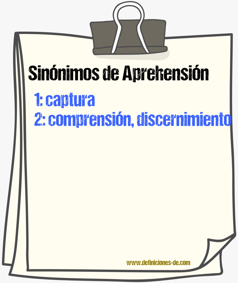 Sinnimos de aprehensin