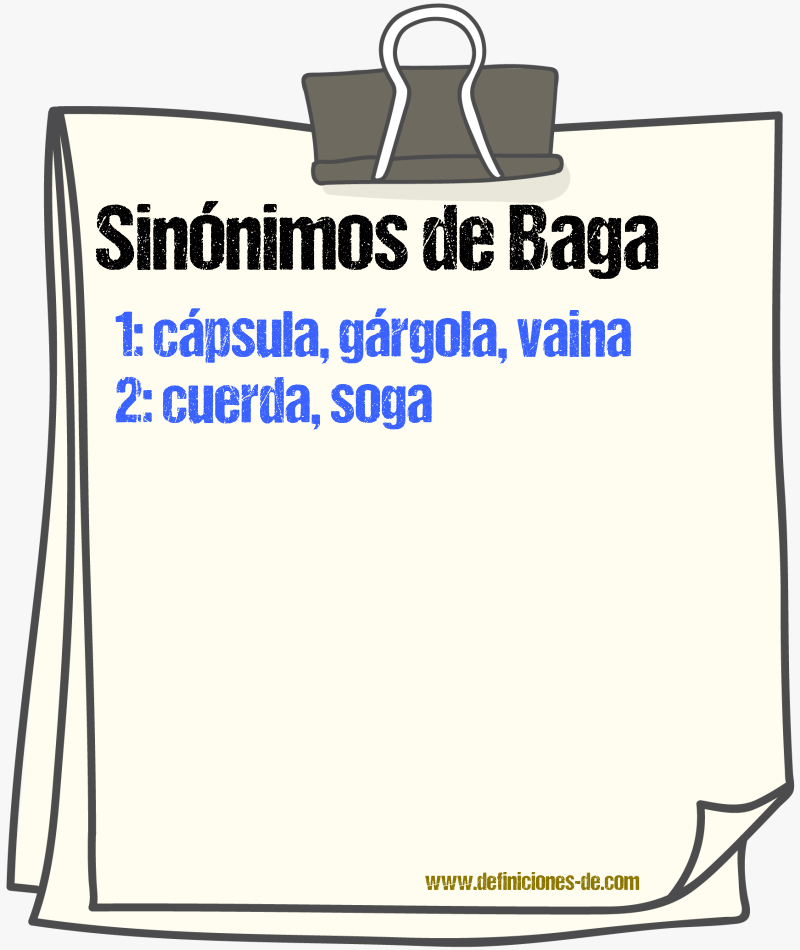 Sinnimos de baga