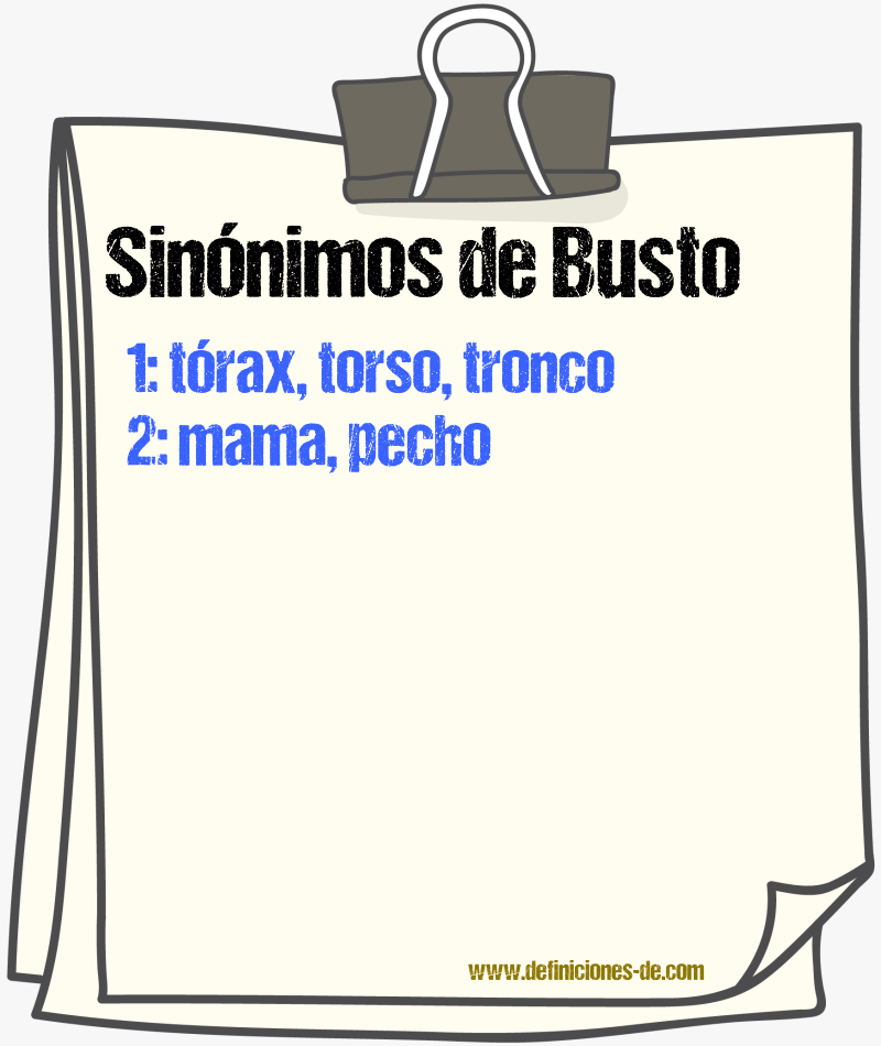 Sinnimos de busto