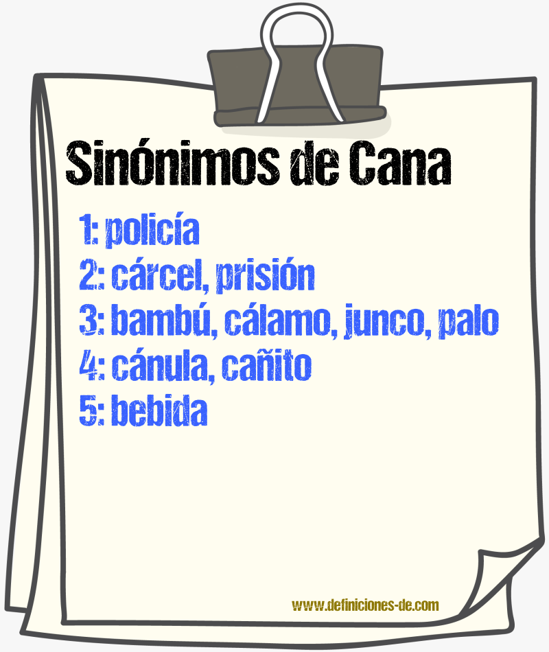 Sinnimos de cana