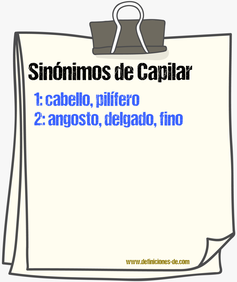 Sinnimos de capilar