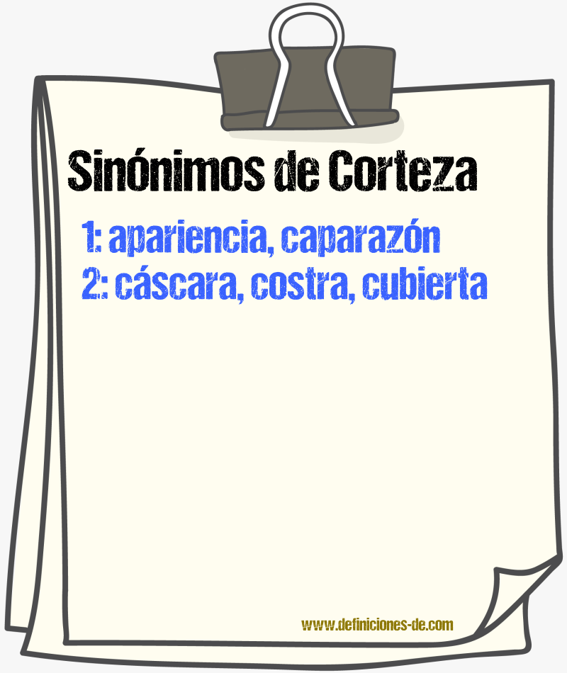 Sinnimos de corteza