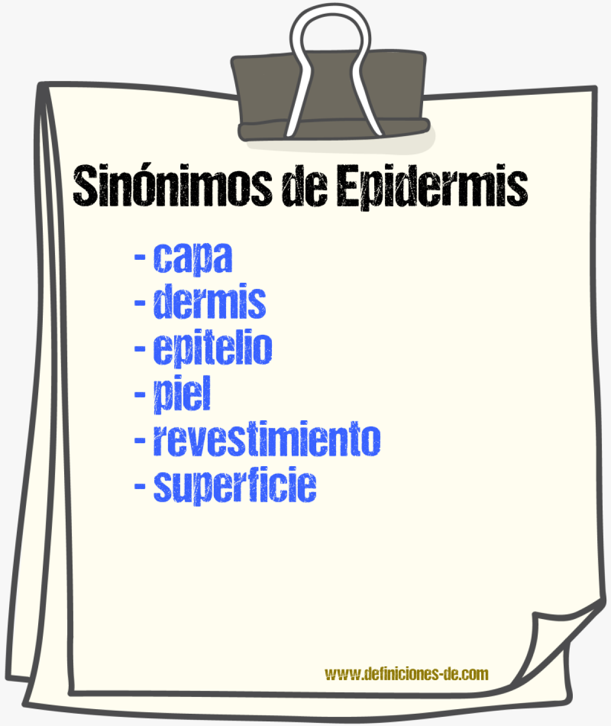 Sinnimos de epidermis