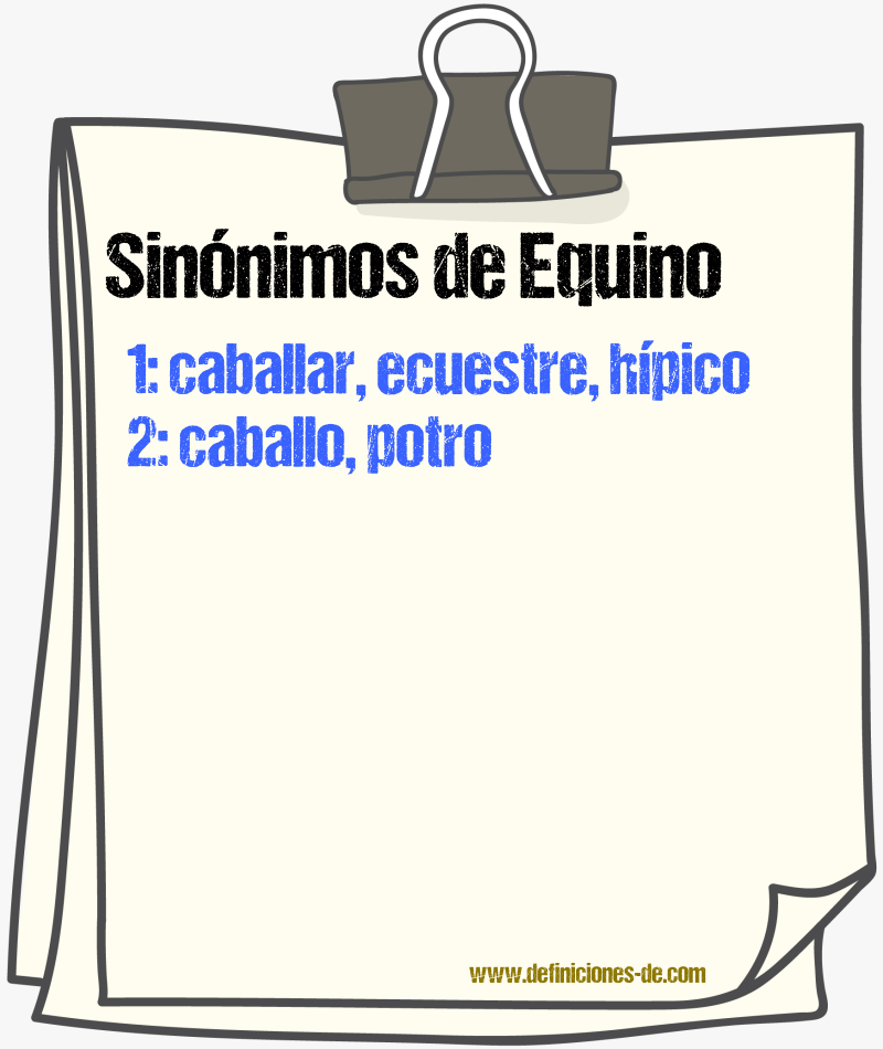 Sinnimos de equino