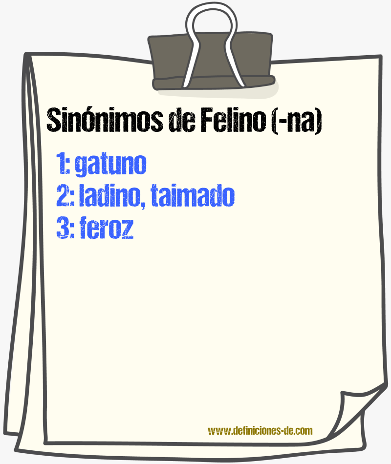 Sinnimos de felino