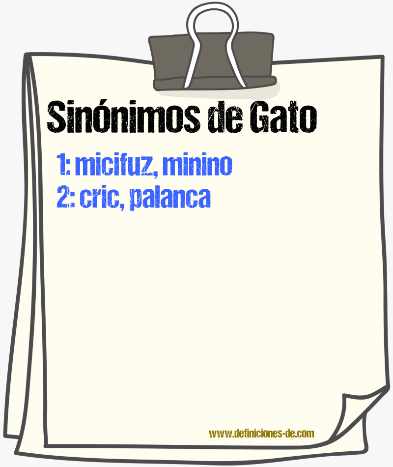 Sinnimos de gato