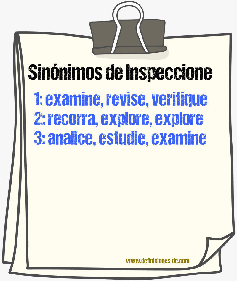 Sinónimos de inspeccione