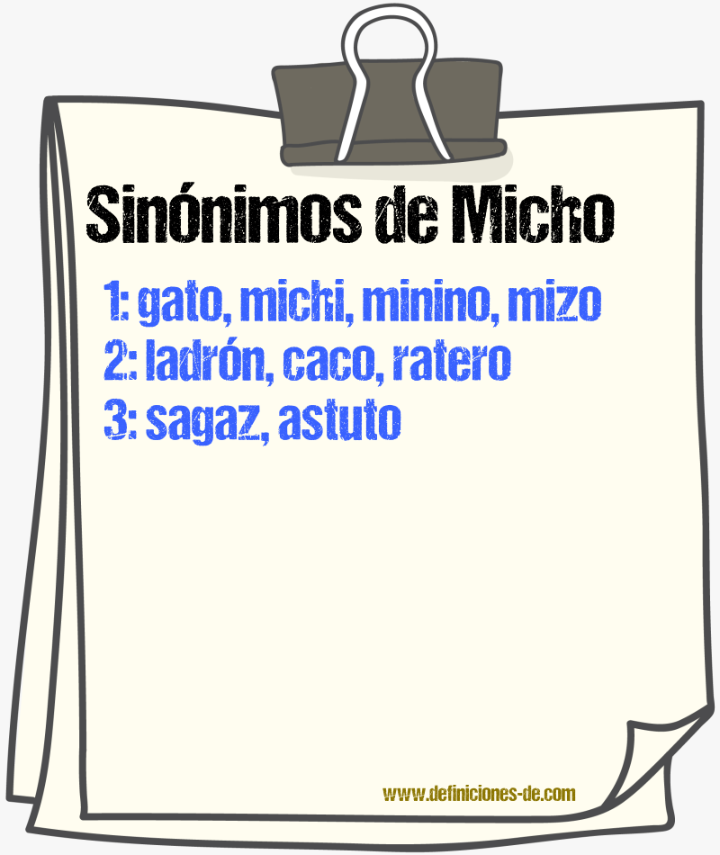 Sinnimos de micho