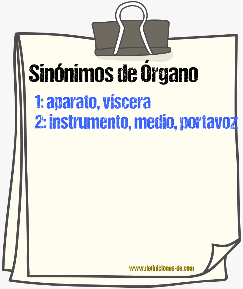 Sinnimos de rgano