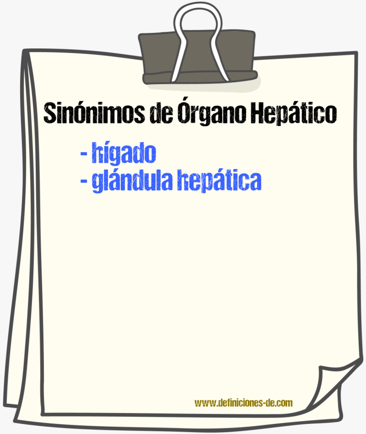 Sinónimos de órgano hepático