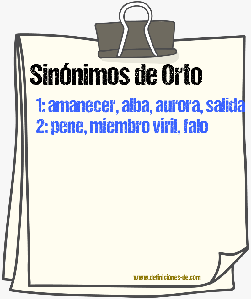 Sinónimos de orto