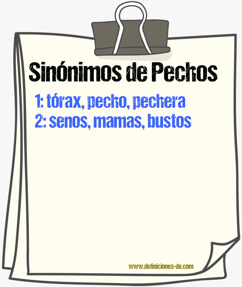 Sinónimos de pechos