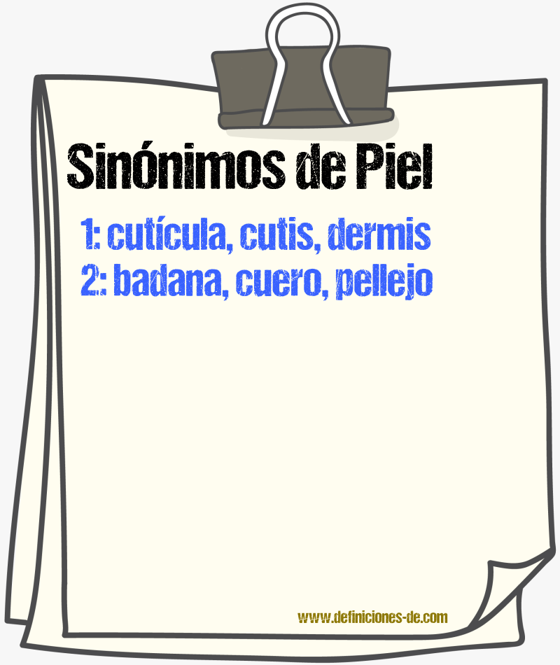 Sinnimos de piel