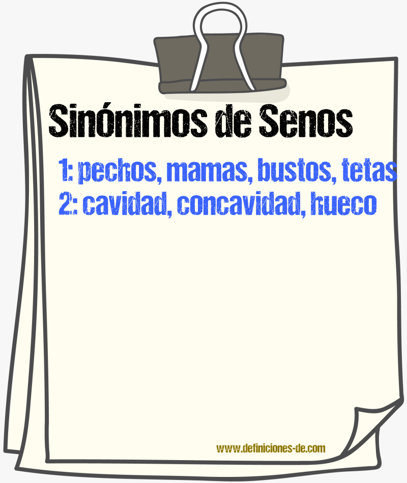 Sinónimos de senos