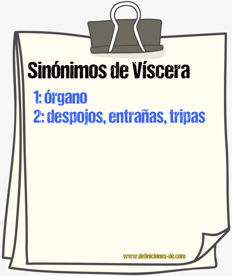 Sinnimos de vscera